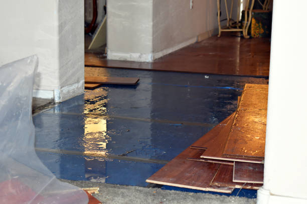 Professional Water Damage technician working in Glidden, TX